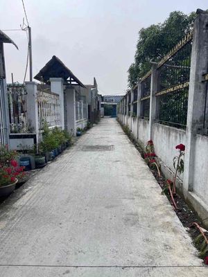 Đất phân Lô F0 Xã Hưng Long Bình Chánh DT: ( 5,5m x 16,5m ) 92m