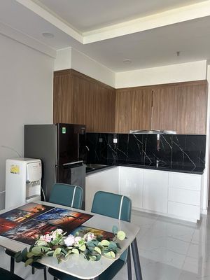 Cho thuê studio opal skyline full nội thất, gần ql13, kcn visip 1