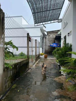Bán lô đất nở hậu đẹp – hẻm công chứng ngọc hân (vào 200m)