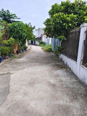 Bán đất Hiệp An - Thủ Dầu 1, tặng kho + vườn rau