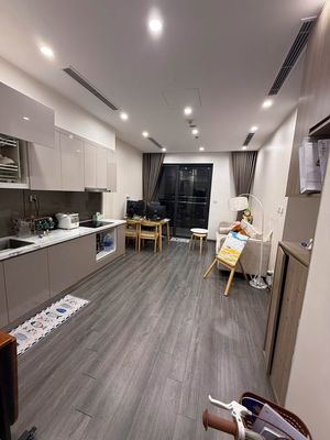 Cho thuê căn hộ 2PN Tonkin - Vinhomes Smart City - 11tr/tháng