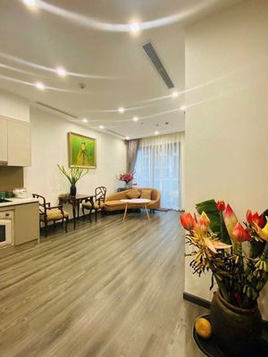 Cho thuê căn hộ 1 ngủ Tokin, 10 triệu