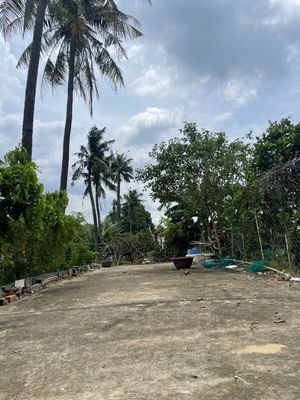 Bán đất Phú Mỹ Nhánh DX43 Dân Cư Đông