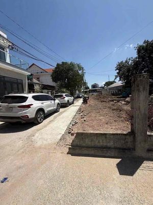 Bán gấp lô đất chính chủ ngang 8m tiện xây villa mini — ảnh 1