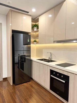 Cần bán gấp 1n+ Mas B 42m giá 3.25 TỶ Vinhomes Smart City — ảnh 1