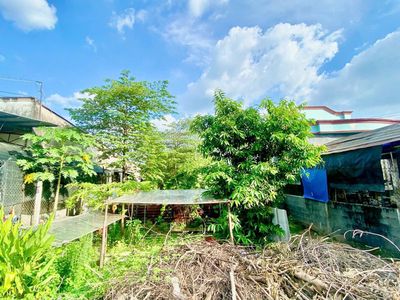 Bán gấp đất mt nguyễn thị rư–thị trấn củ chi–470m2–650 triệu (còn tl) — ảnh 1