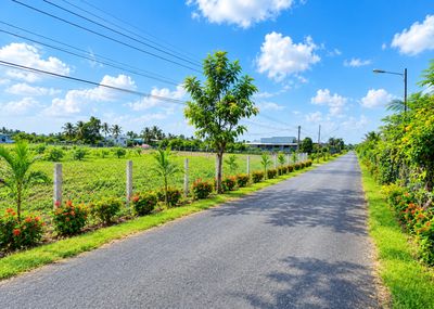 Cần bán 500m2 đất thổ đô thị, đường Nguyễn Trọng Hợp Thành Phố Gò Công — ảnh 1