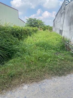 Bán đất chính chủ tại Xã Mỹ Yên — ảnh 1