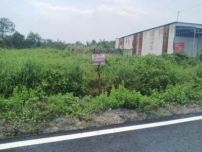 Bán đất mặt tiền đường Trần văn sớm p1, giá rai cũ — ảnh 1