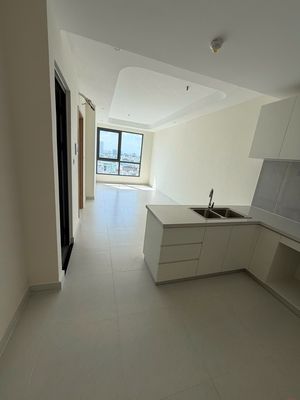 Bán gấp căn 1 PN 50m2 tại chung cư Aurora — ảnh 1