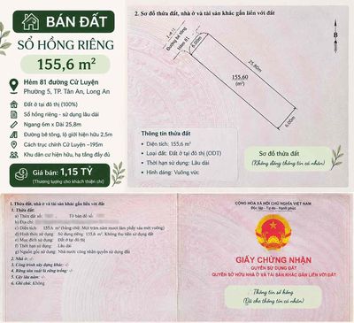 Chủ gửi — ảnh 1