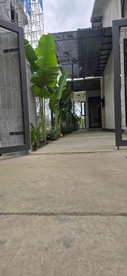 Cần cho thuê căn hộ sân vườn 45m2 — ảnh 1