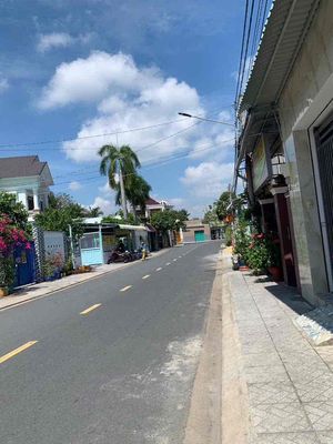 Nhà mới 100% đường Trần Quang Diệu — ảnh 1