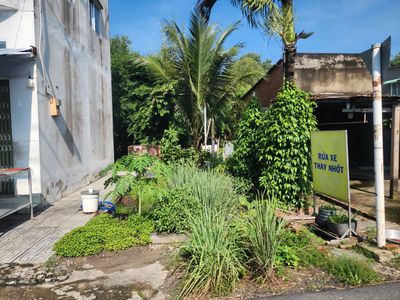 Hạ giá 200 triệu 116m2 Thái Mỹ ,Củ Chi, đường nhựa, đông dân, SHR — ảnh 1