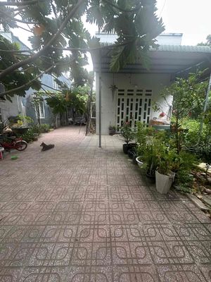 Cho thuê nhà nguyên căng gần trường tiểu học định hoà 2 — ảnh 1