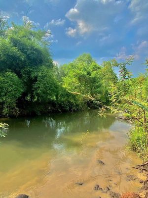 Bán đất view suối 7x22m — ảnh 1