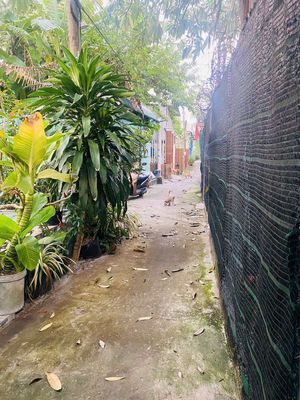 Nhà cho thuê đa phước — ảnh 1