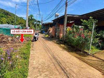 Bán đất tân phú – đồng nai | 554,4m² | 100m² thổ cư | 2,1 tỷ — ảnh 1