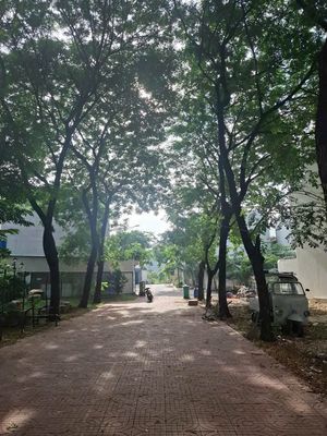 Bán nhà Lái Thiêu, Bình Dương - Kinh doanh, view công viên — ảnh 1