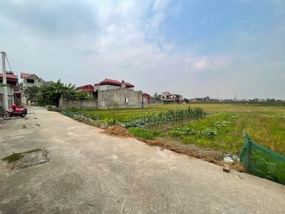 Bán đất thổ cư 150m2 Sóc Sơn, đường ô tô — ảnh 1