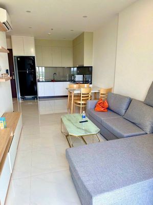 Thuê 2pn full nội thất cao cấp – c skyview chánh nghĩa 11tr — ảnh 1