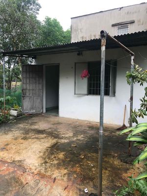 Nhà cấp 4 nguyên căn — ảnh 1