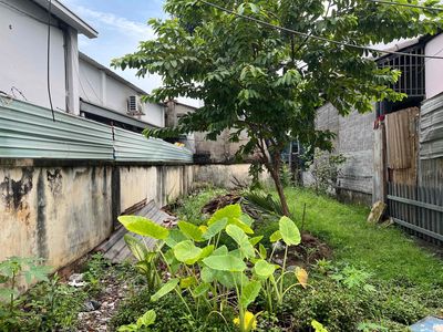 Đất thổ cư đường Dương Đình Hội Phước Long Thủ Đức — ảnh 1