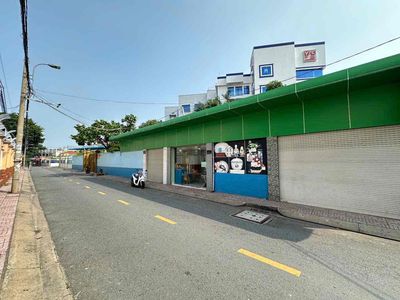 Đất lớn Luỹ Bán Bích — ảnh 1