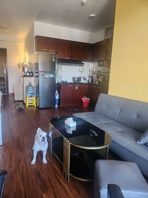 CH 1 phòng ngủ CC Tân Mai — ảnh 1
