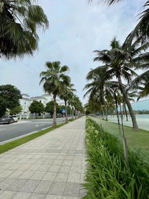 Siêu phẩm shophouse lô góc – trung tâm vinhomes ocean park 1 — ảnh 1