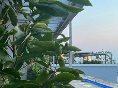 Bán chung cư Lữ Gia, Quận 11, penthouse 180m2, 4PN, 9 tỷ, sổ hồng — ảnh 1