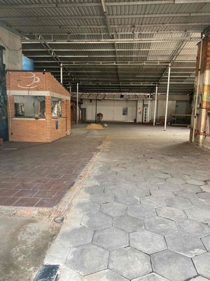Cho thuê mặt bằng / kho xưởng mặt tiền đường tô ký — ảnh 1