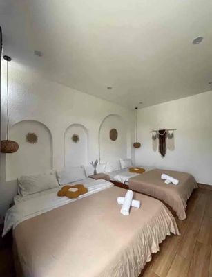 Cần cho thuê homestay kqh yersin — ảnh 1