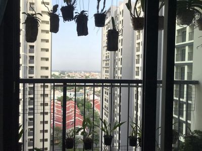 Chính chủ. cần cho thuê CH 1PN full nôi thất, Ecoxuan Lái Thiêu — ảnh 1