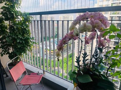 Cho thuê căn hộ S2.11 Vinhomes Ocean Park full đồ 2N2VS+1 — ảnh 1