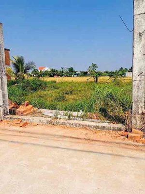 Bán đất ấp bà chủ xã tân lân — ảnh 1