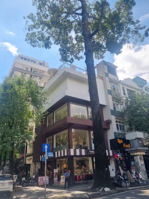 Cafe căn (Góc 2mt) số 29a Lê Thánh Tôn, Q1. Dt: 6x15m, Kc: trệt 3 lầu — ảnh 1