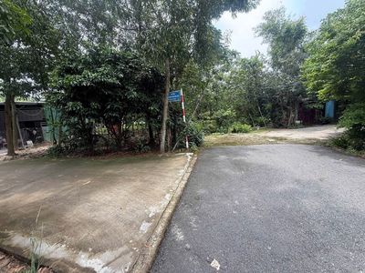 Đất nền Chánh Phú Hòa, 274m2, sát Mỹ Phước Tân Vạn — ảnh 1