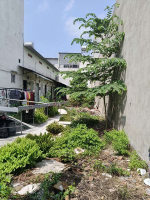 5M*25M - HL80B - Gần nguyễn ảnh thủ — ảnh 1