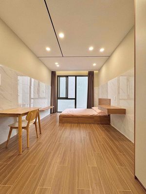 Cho thuê căn hộ rộng 40m2 mới 99% - thang máy - cầu Thị Nghè - VX ĐBP — ảnh 1
