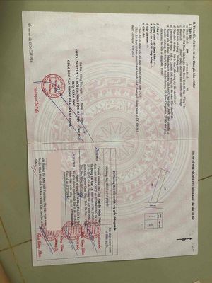 Nhà cấp 4 — ảnh 1