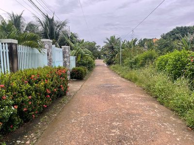 Bán lô đât ở tại nông thôn vơi 194m2 cách qlo 20 hơn 100m — ảnh 1