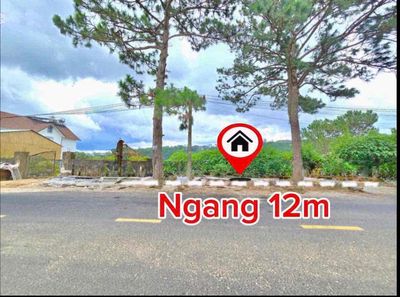 Bán đất mặt tiền đường An Sơn Đà Lạt giá cực tốt có View đẹp — ảnh 1