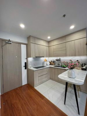 Thời điểm vàng mua nhà, căn 1n1+ 43m phân khu Impe Smart - 2ty9 full — ảnh 1