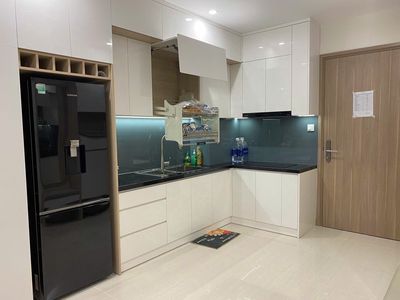 Cần cho thuê căn hộ S1002 Full NT cao cấp — ảnh 1