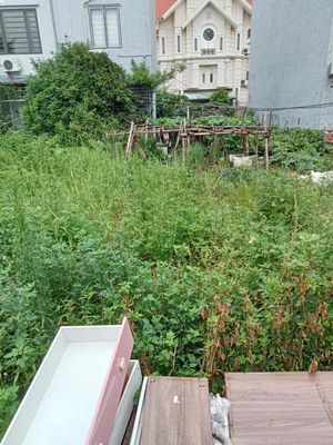 Đất 60m2 ngang 4m MT đường 14m tuyến 2 Lê Hồng Phong 83 triệu /1m2 — ảnh 1