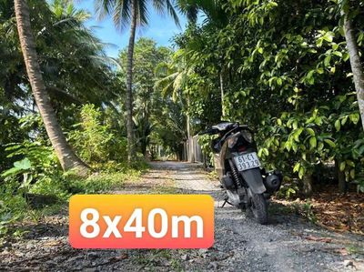 Bán đất mặt tiền an sơn 14 – view rạch (8x40m, thổ cư 100m²) — ảnh 1