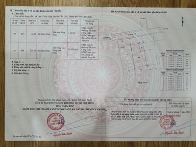 Bán đất chính chủ – xã tam thôn hiệp, huyện cần giờ — ảnh 1