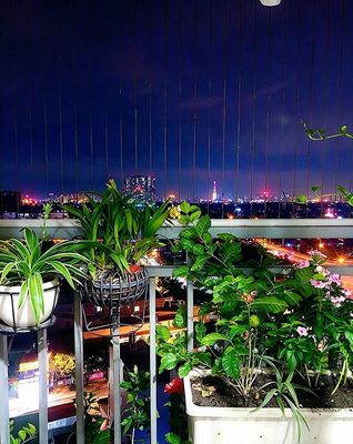 Bán căn hộ 2pn – phường bình chiểu - quận thủ đức cũ — ảnh 1
