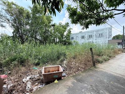 Đất thổ Bình Chánh diện tích lớn, góc 2 mt — ảnh 1